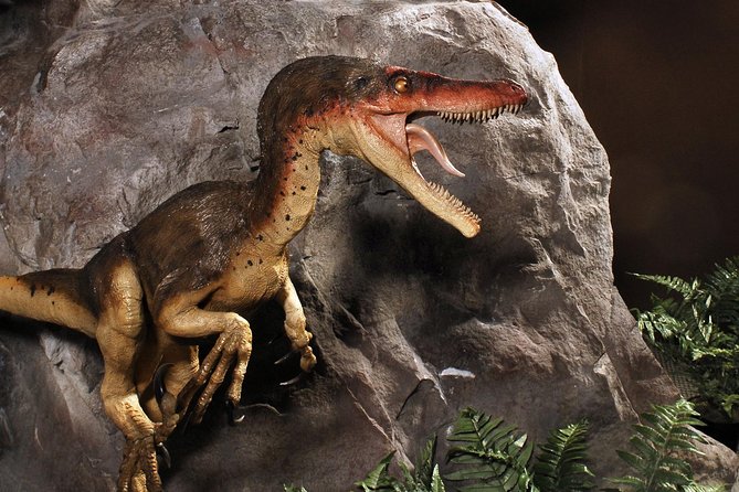 Branson Dinosaur Museum Admission Ticket - Additional Museum Highlights