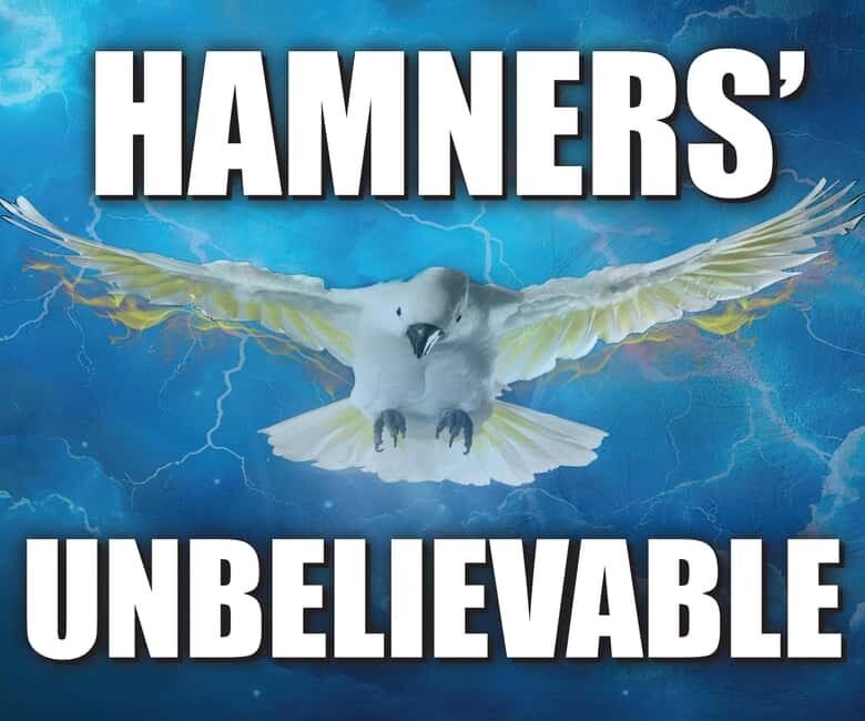 Branson: Hamners' Unbelievable New Year's Eve Extravaganza - Final Thoughts