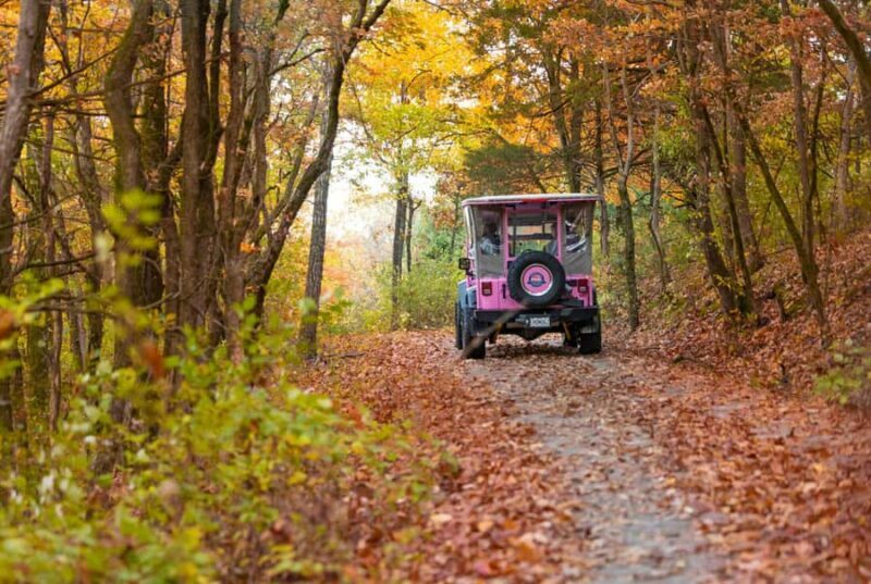 Branson: Table Rock Lake and Baird Mountain Jeep Tour - Who Should Consider This Tour?
