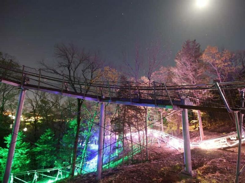 Branson: Thrilling Mountain Coaster Ride - An Honest Look at the Branson Mountain Coaster