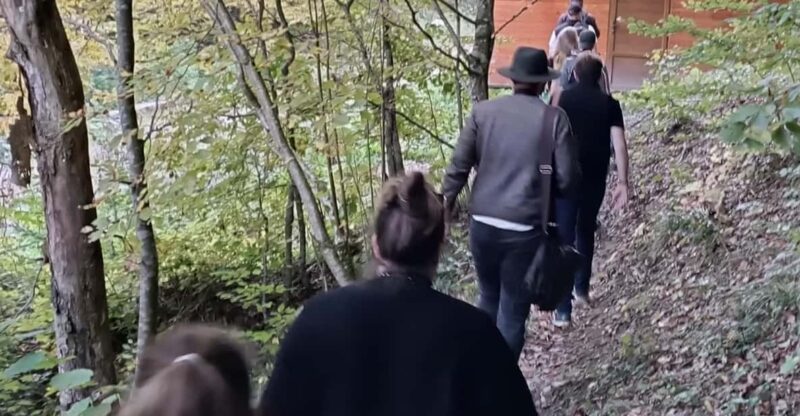 Brașov: 4-Hour Bear Watching Tour in Carpathian Mountains - Activity Details