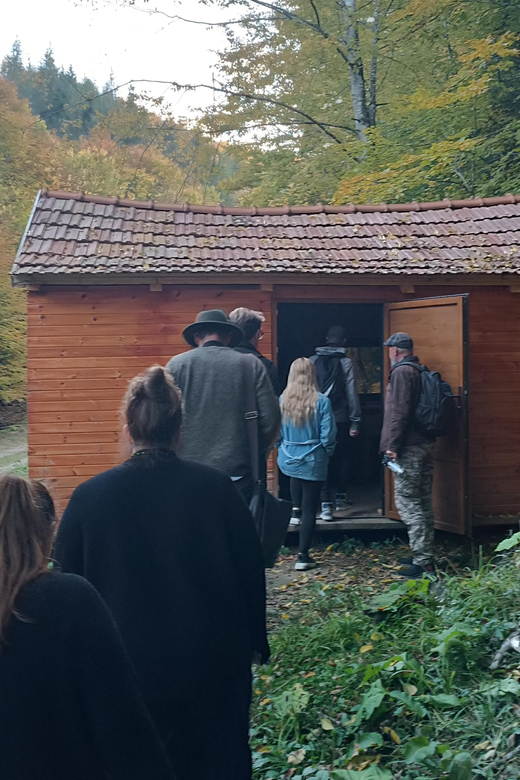 Brașov: 4-Hour Bear Watching Tour in Carpathian Mountains - Experience Highlights
