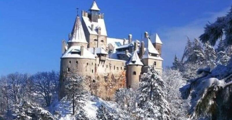 Brasov: Bran, Peles and Cantacuzino Castles Day Tour - Cancellation Policy