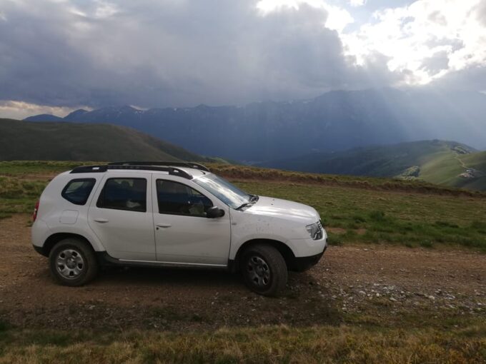 Brasov: Brown Bear & Wildlife Watching - Transportation and Meeting Point