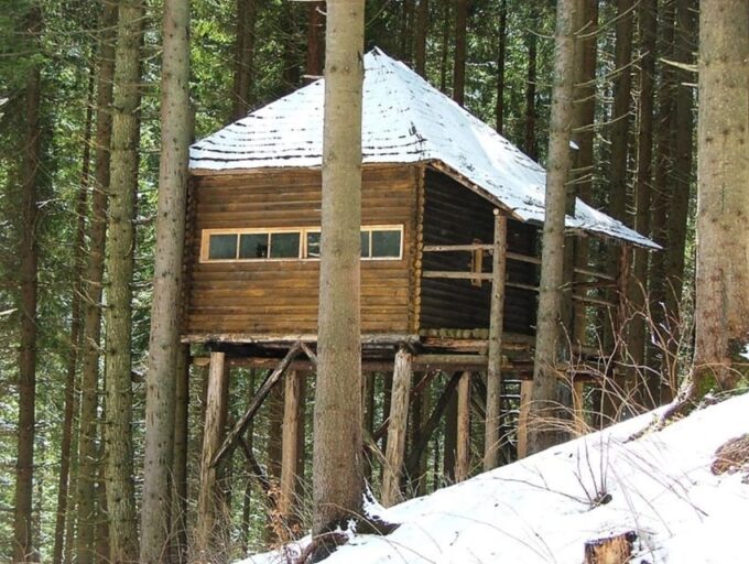 Brasov: Brown Bear & Wildlife Watching - Frequently Asked Questions