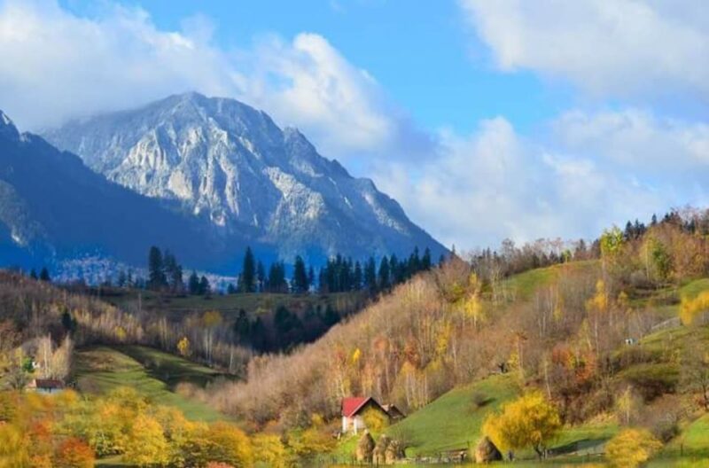 Brasov: Craiuli Mountains Hike & Bear Sanctuary Private Trip - Inclusions and Exclusions