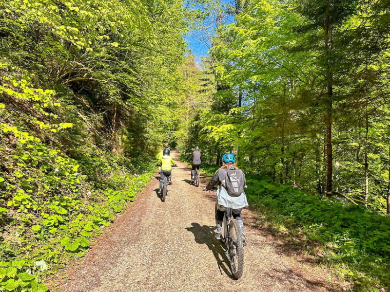 Brasov: E-Bike Tour to Poiana Brasov (Old Town & Forest) - Key Points
