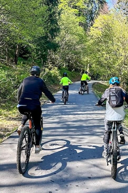 Brasov: E-Bike Tour to Poiana Brasov (Old Town & Forest) - Booking Information