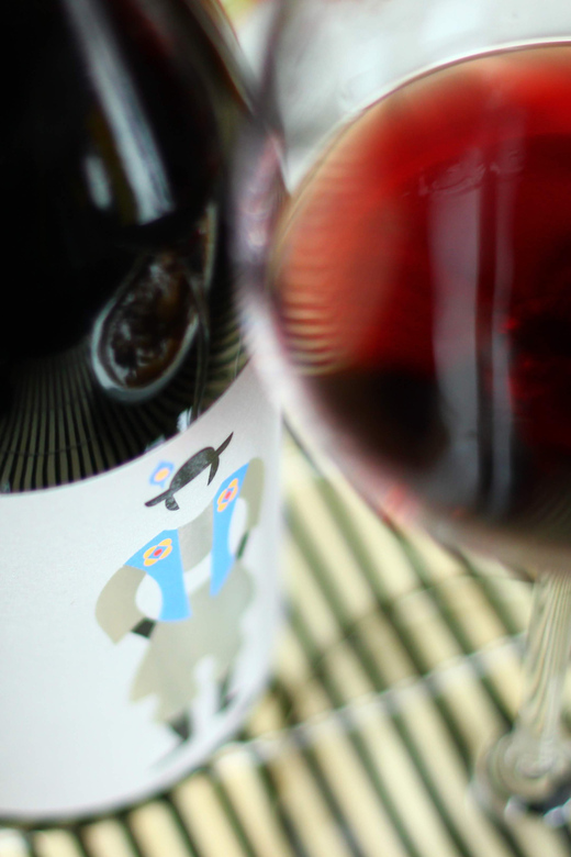 Brasov: Guided City Walking Tour With Wine - Experience Details