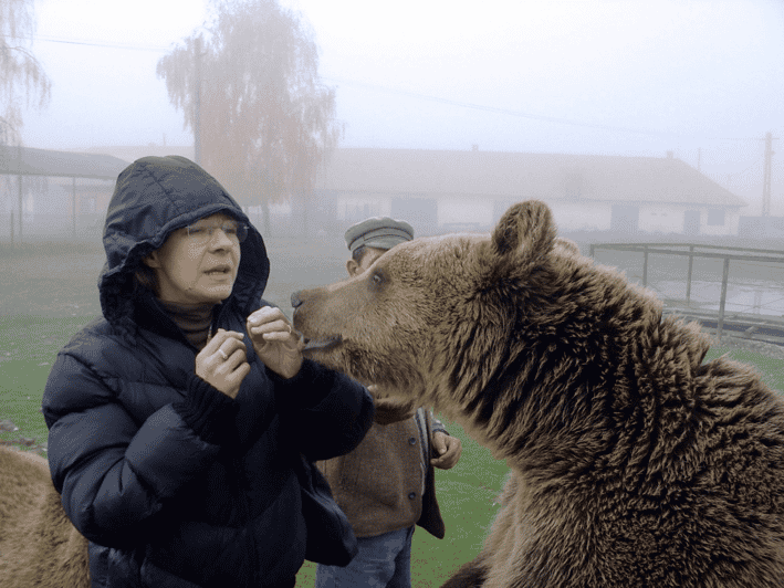 Brasov: Libearty Bear Sanctuary - Sanctuary Mission and History