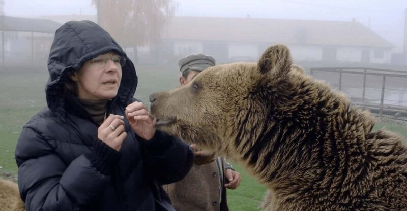 Brasov: Libearty Bear Sanctuary - Tour Itinerary and Duration