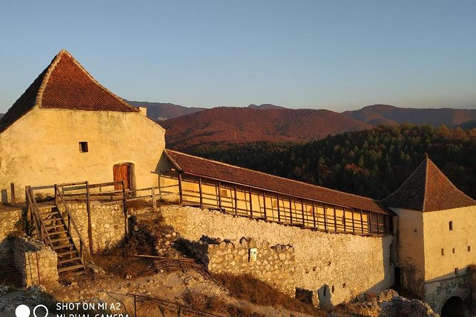 Brasov: Peles Castle, Bran Castle and Rasnov Fortress Day Tour - Peles Castle