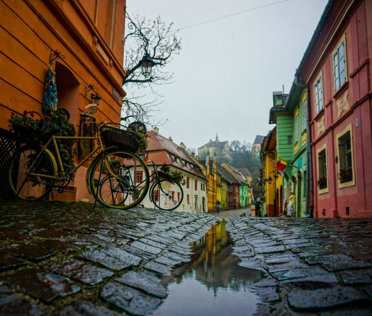 Brasov: Private Guided Day Trip to Sighisoara and Viscri - Key Points