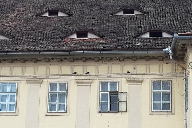 Brasov: Sighisoara & Bear Sanctuary Tour Entrance Fee Guaranteed - Tour Highlights