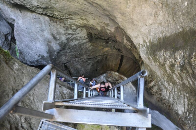 Brasov: Small-Group 7 Ladders Canyon Day Trip - Key Points
