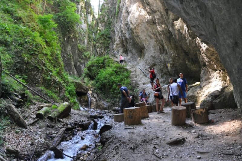 Brasov: Small-Group 7 Ladders Canyon Day Trip - Transportation and Hiking