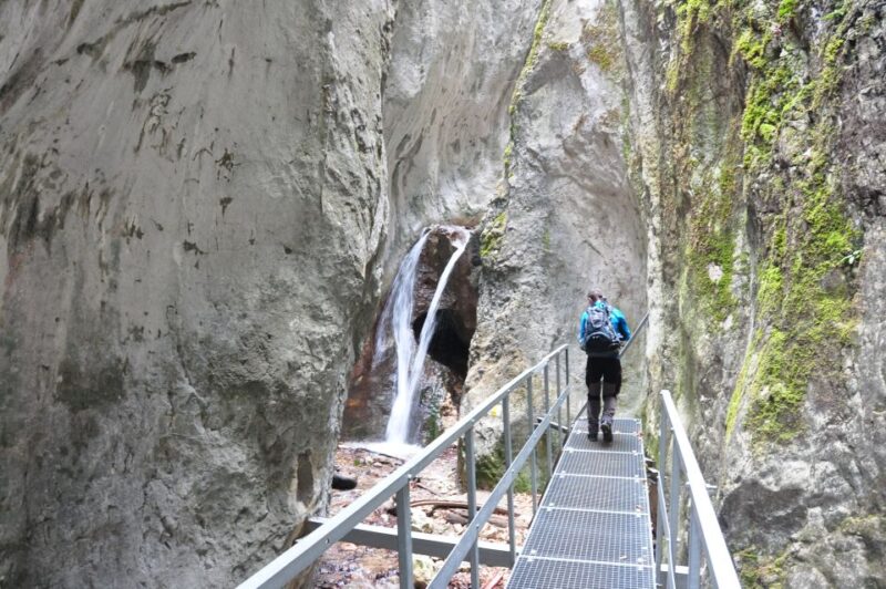 Brasov: Small-Group 7 Ladders Canyon Day Trip - Canyon Highlights