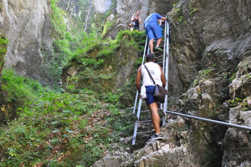 Brasov: Small-Group 7 Ladders Canyon Day Trip - What to Expect