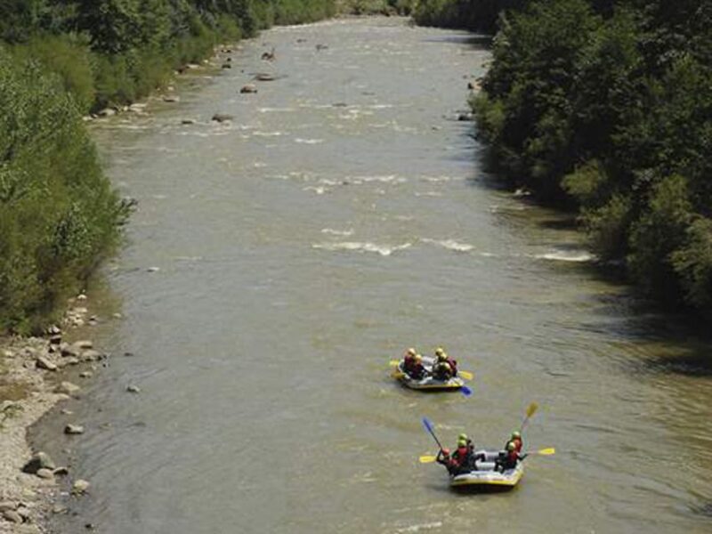 Brasov: Wild Water Rafting Day Trip - Navigating Rapids