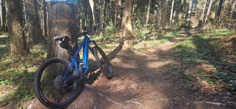 Brasov'S Mountain'S E-Mtb Tour With Daisy - Piatra Lui Solomon