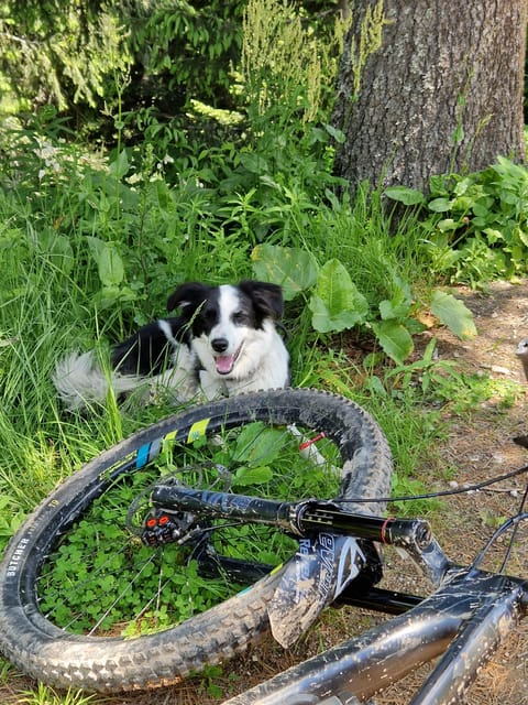 Brasov'S Mountain'S E-Mtb Tour With Daisy - Drumul Vechi