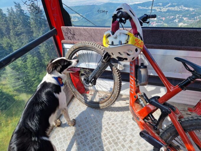 Brasov'S Mountain'S E-Mtb Tour With Daisy - Frequently Asked Questions