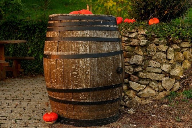 Bratislava 3-Hour Wine Tasting - Wine Experience