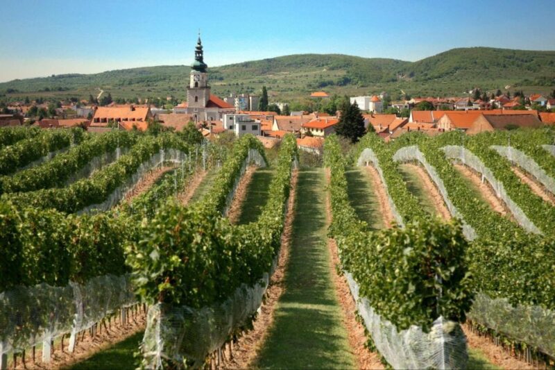 Bratislava: 6-Hour Carpathian Wine Tour and Tasting - Itinerary Highlights
