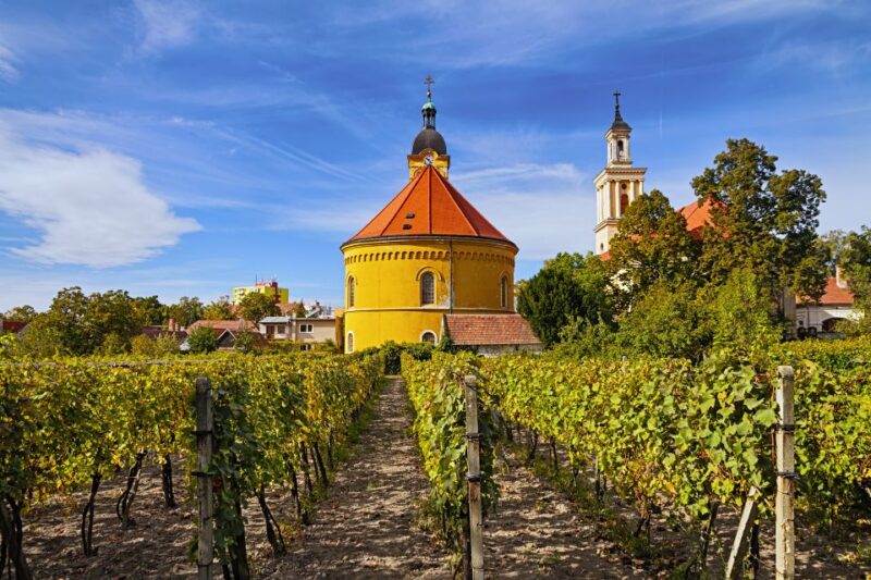Bratislava: 6-Hour Carpathian Wine Tour and Tasting - Pickup and Group Size
