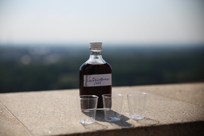 Bratislava Foodie Tour - Visiting Multiple Establishments