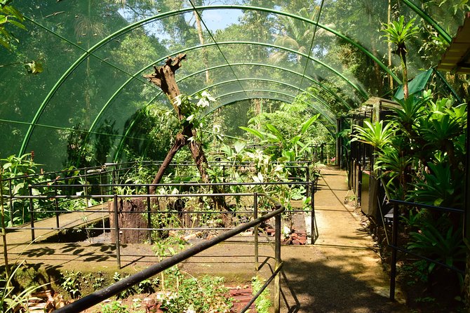 Braulio Carrillo Half Day Pass Including Aerial Tram Tour - Nature Trails and Guided Walks