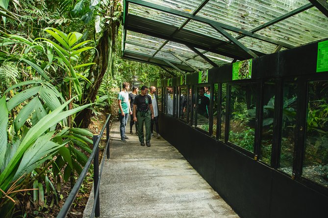 Braulio Carrillo Half Day Pass Including Aerial Tram Tour - Aerial Tram Ride Experience