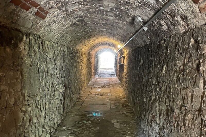Braunschweig: Private Tour to Ghosts, Witches & Vampires - Tour Details