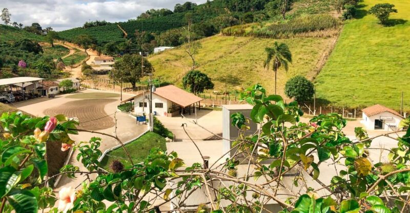 Brazil Coffee Farm Tour With Transfer (For Groups) - Key Points