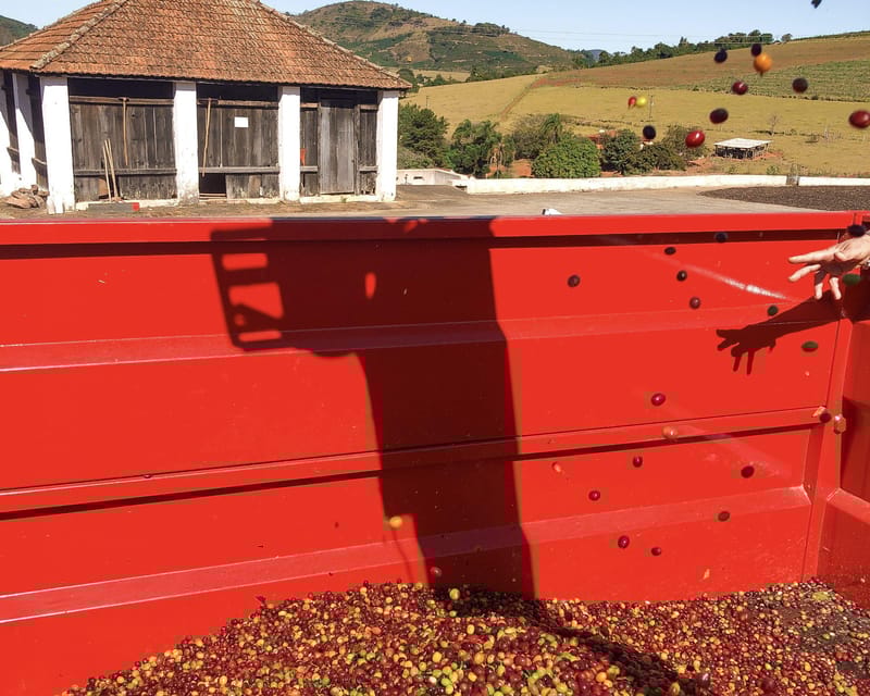 Brazil Coffee Farm Tour With Transfer (For Groups) - Pickup and Transportation