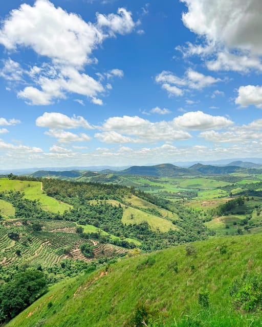 Brazil Coffee Farm Tour With Transfer (For Groups) - Group Size and Cancellation