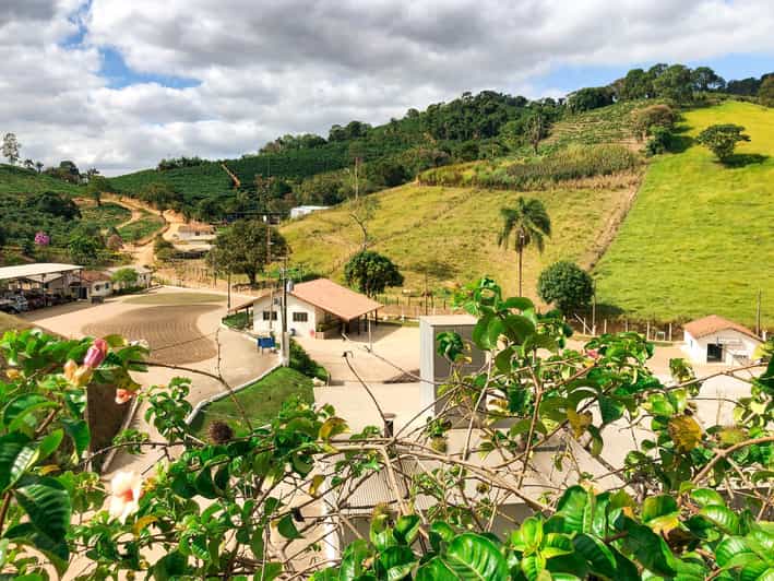 Brazil Coffee Farm Tour With Transfer (For Groups) - Highlights of the Tour