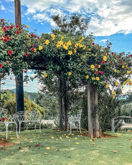Brazil Coffee Farm Tour With Transfer (For Groups) - Inclusions and Exclusions