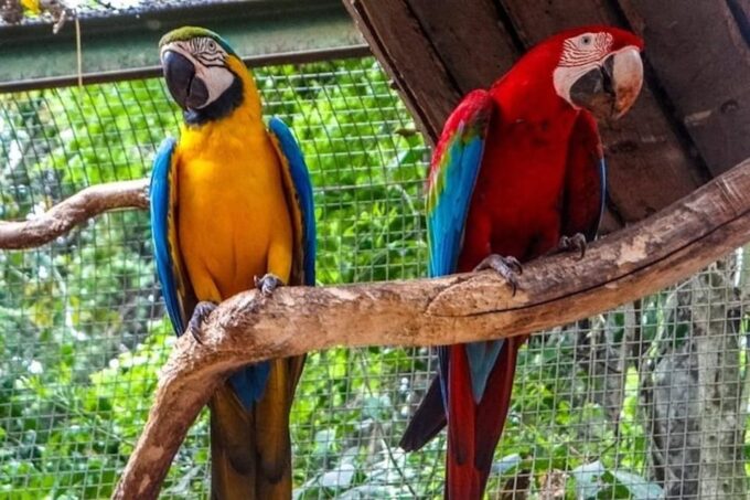 Brazilian and Argentina Falls With Great Adventure on Boats - Explore Iguazu Falls
