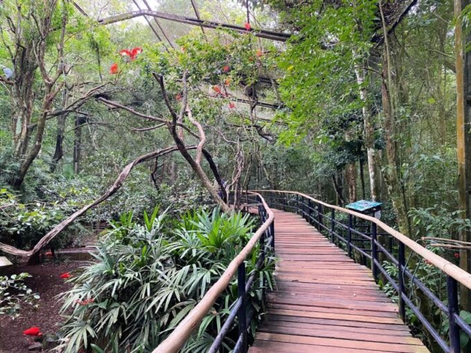 Brazilian Falls, Bird Park and Itaipu Dam - Exclusions