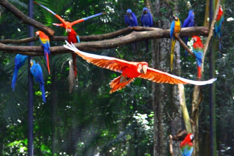 Brazilian Falls, Bird Park and Itaipu Dam - Key Points