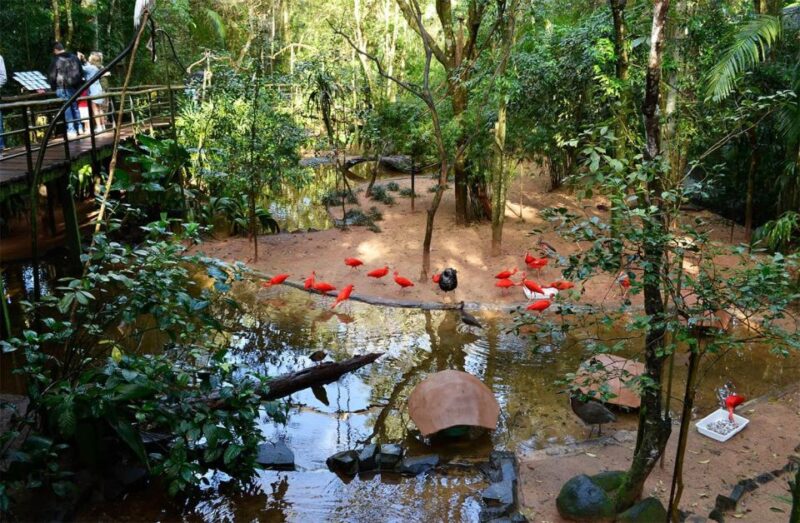 Brazilian Falls, Bird Park and Itaipu Dam - Tour Highlights