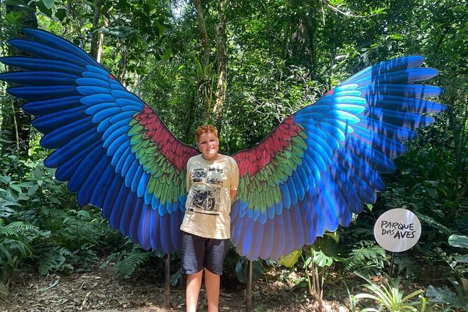 Brazilian Falls & Bird Park: Private Transportation - Guided Tour Experience