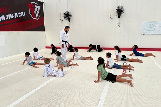 Brazilian Jiu-Jitsu Class Shared Experience - Safety and Accessibility