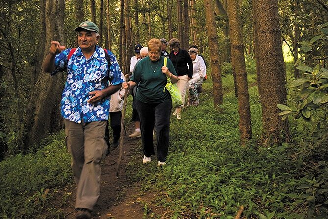 Breakfast Bushwalk & Clifftop BBQ Tour - Tour Features