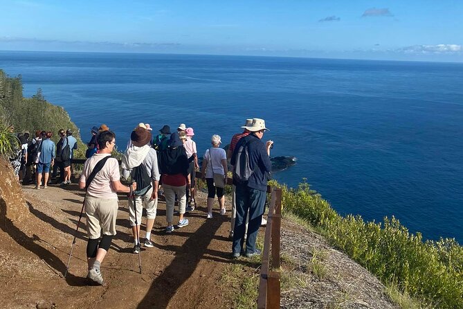 Breakfast Bushwalk & Clifftop BBQ Tour - Guest Reviews
