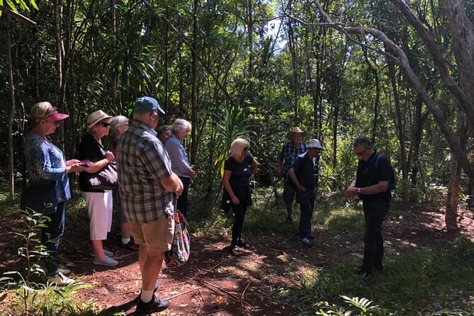 Breakfast Bushwalk & Clifftop BBQ Tour - Meeting Point and Transfers