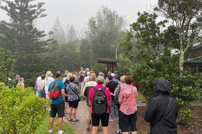 Breakfast Bushwalk & Clifftop BBQ Tour - Pricing and Availability