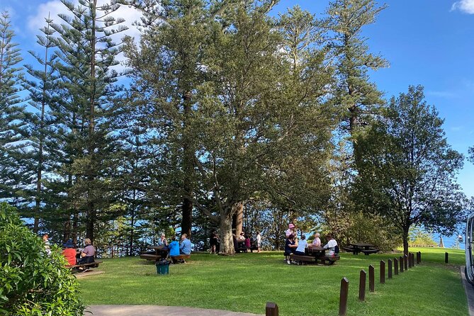 Breakfast Bushwalk & Clifftop BBQ Tour - Activity Highlights