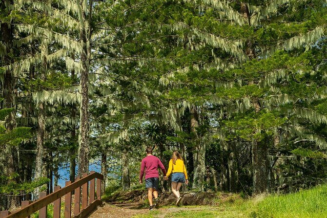 Breakfast Bushwalk in Norfolk Island - Who Will Love This Tour?